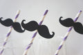 Purple Striped Mustache Straws - Party Photo Booth Props (Set of 10)