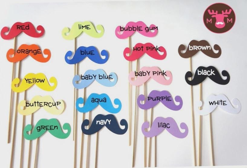 Mustache Photo Booth Props - Party Decorations, Set of 12