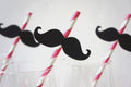 Hot Pink Striped Mustache Straws - Party Photo Booth Props, Set of 10