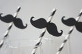 Black Striped Mustache Straws - Party Photo Booth Props, Set of 10