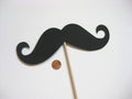 Giant Mustache Photo Booth Prop – Party Stache on a Stick